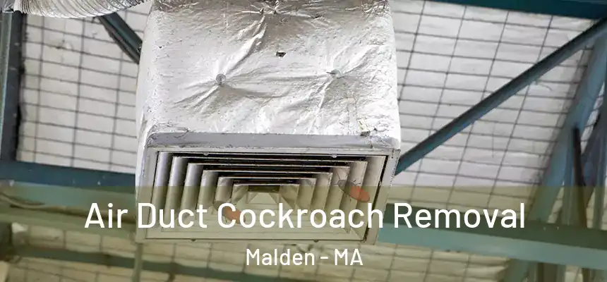 Air Duct Cockroach Removal Malden - MA
