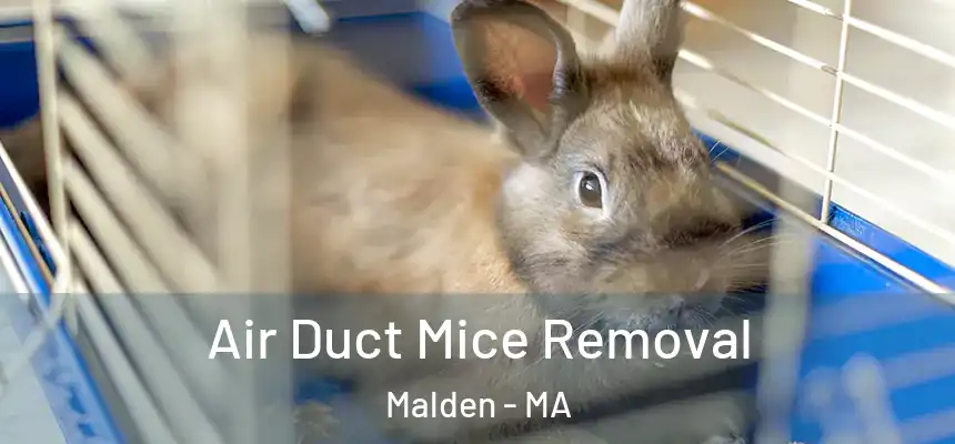 Air Duct Mice Removal Malden - MA
