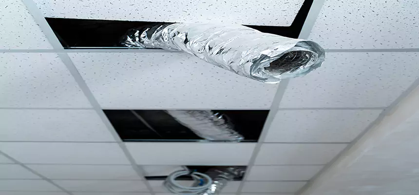 Affordable HVAC Sanitizing After Pest Removal in Malden