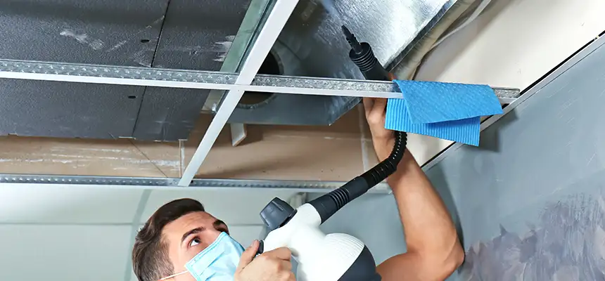 Our Air Duct Rodent Removal Services in Malden, MA