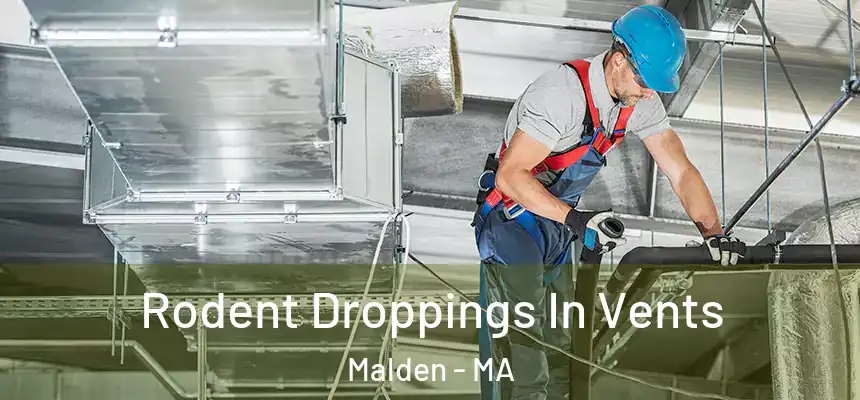  Rodent Droppings In Vents Malden - MA