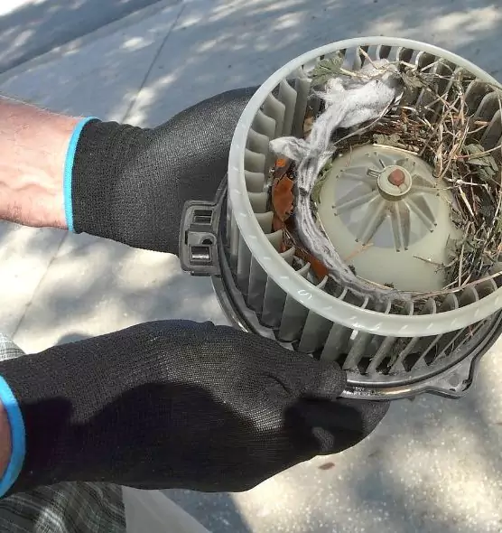 About Air Duct Rat Removal in Malden, MA