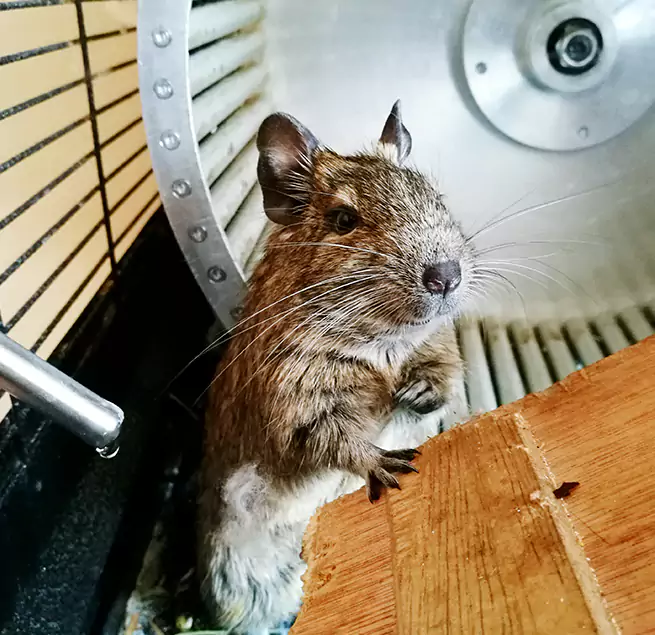 Why Homeowners & Businesses Trust Us Malden, MA